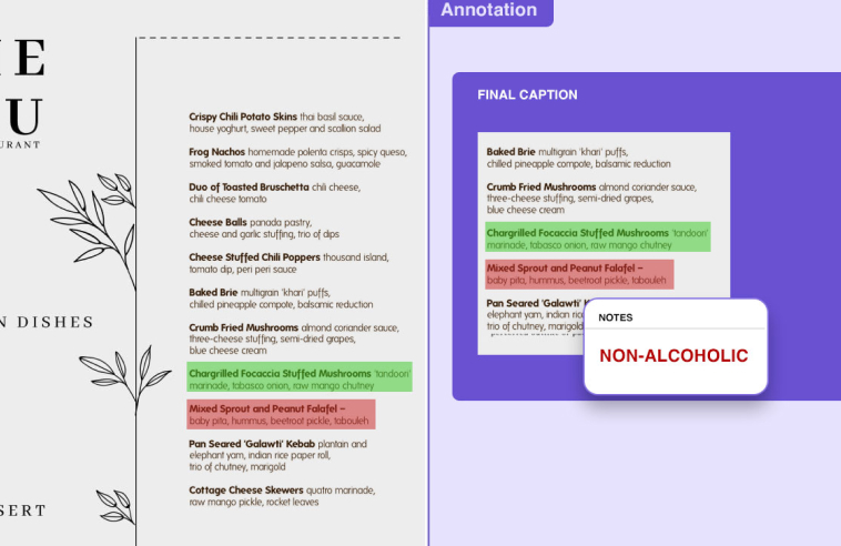 Text Annotation Services