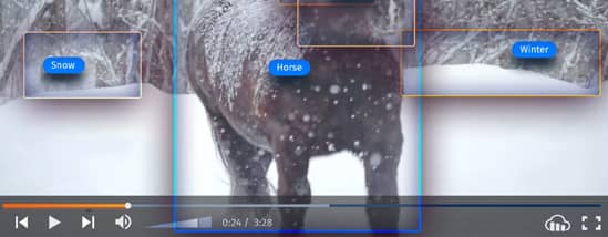 Image video tagging